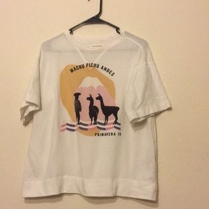 Isabel Marant Etoile Manchu Picchu sweatshirt 40 M